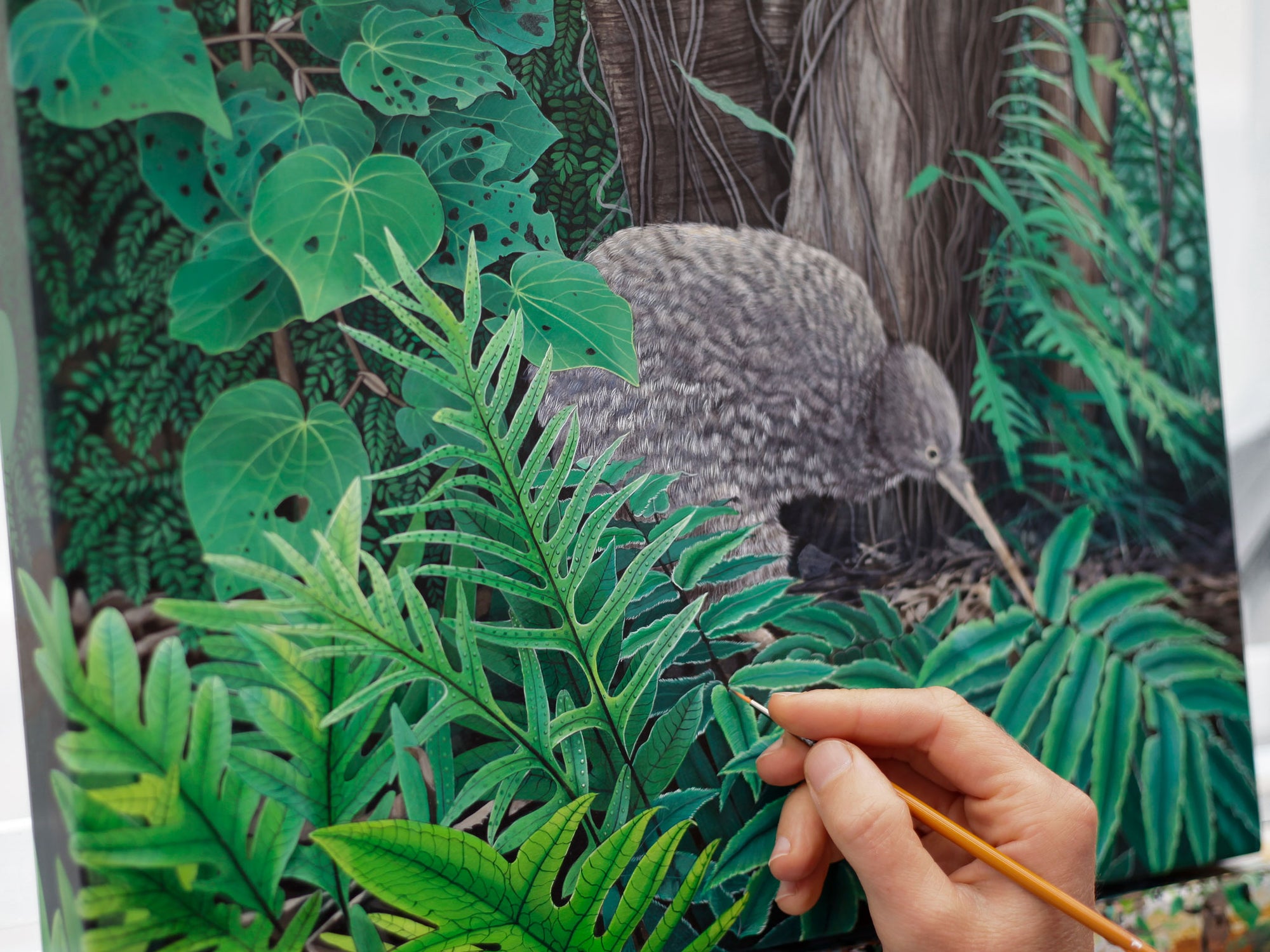 Little Spotted Kiwi/Kiwi Pukupuku [Untitled] progress