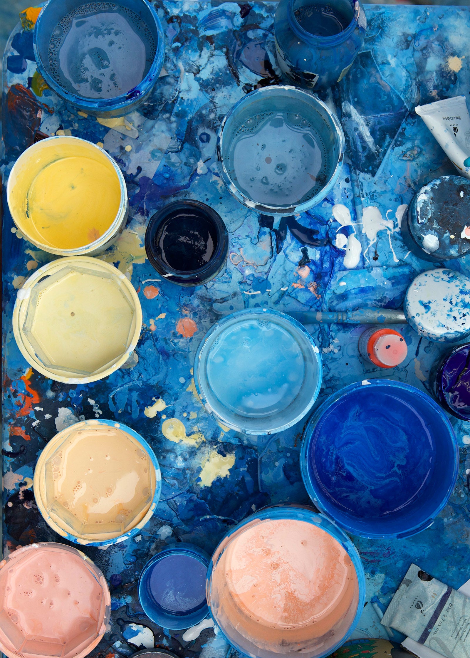 Nelson artist, Michelle Bellamy's paint