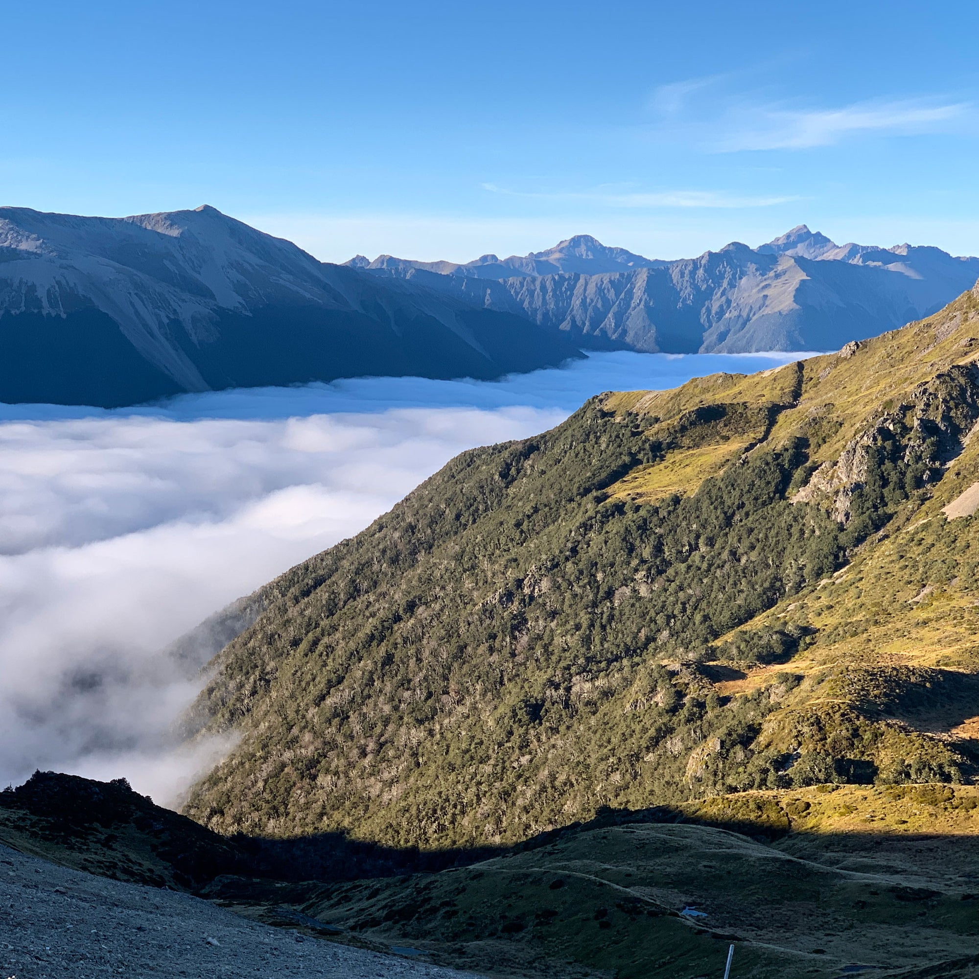 Mt Robert Ridge