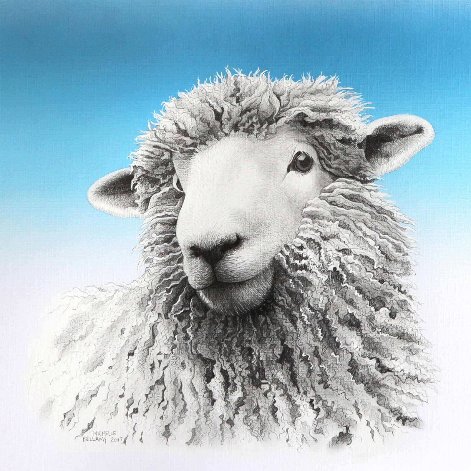 Sheepy Boy