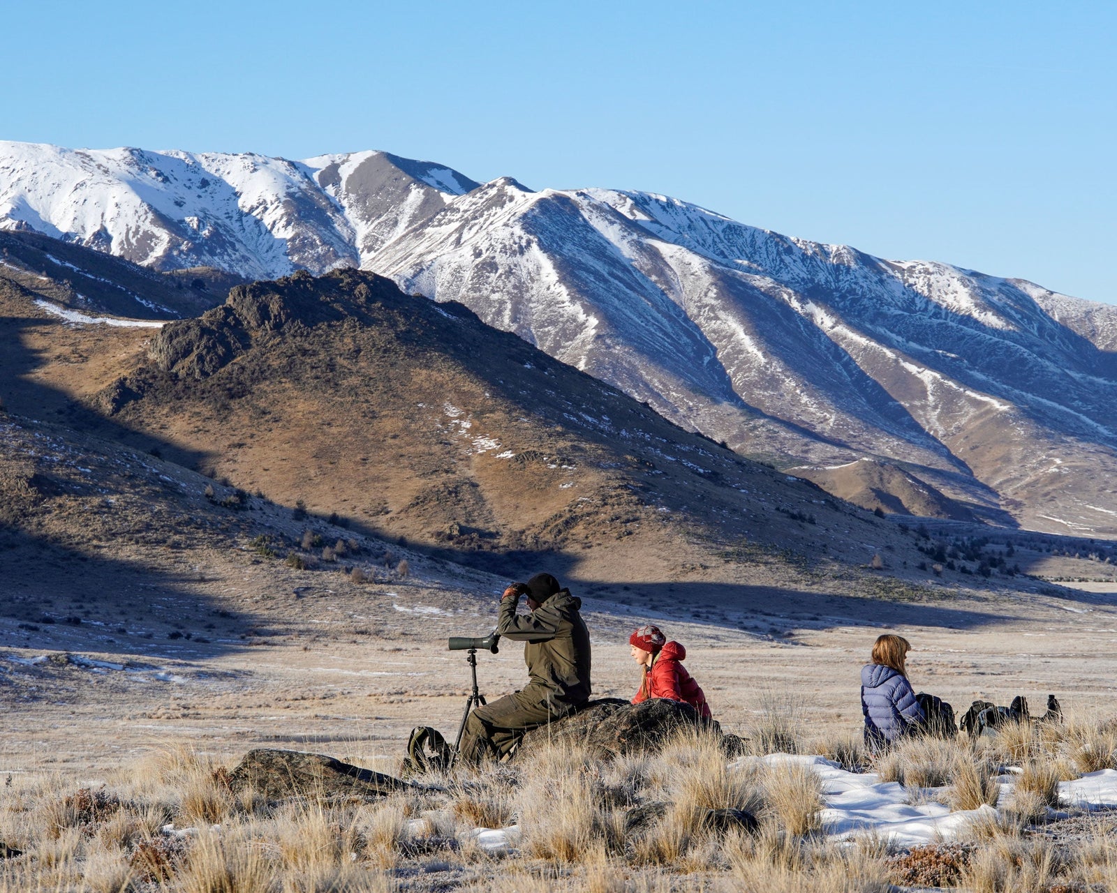 The frozen Molesworth