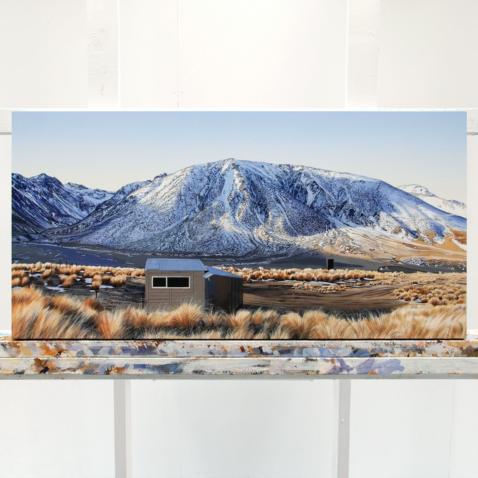 Island Gully Hut - The Molesworth