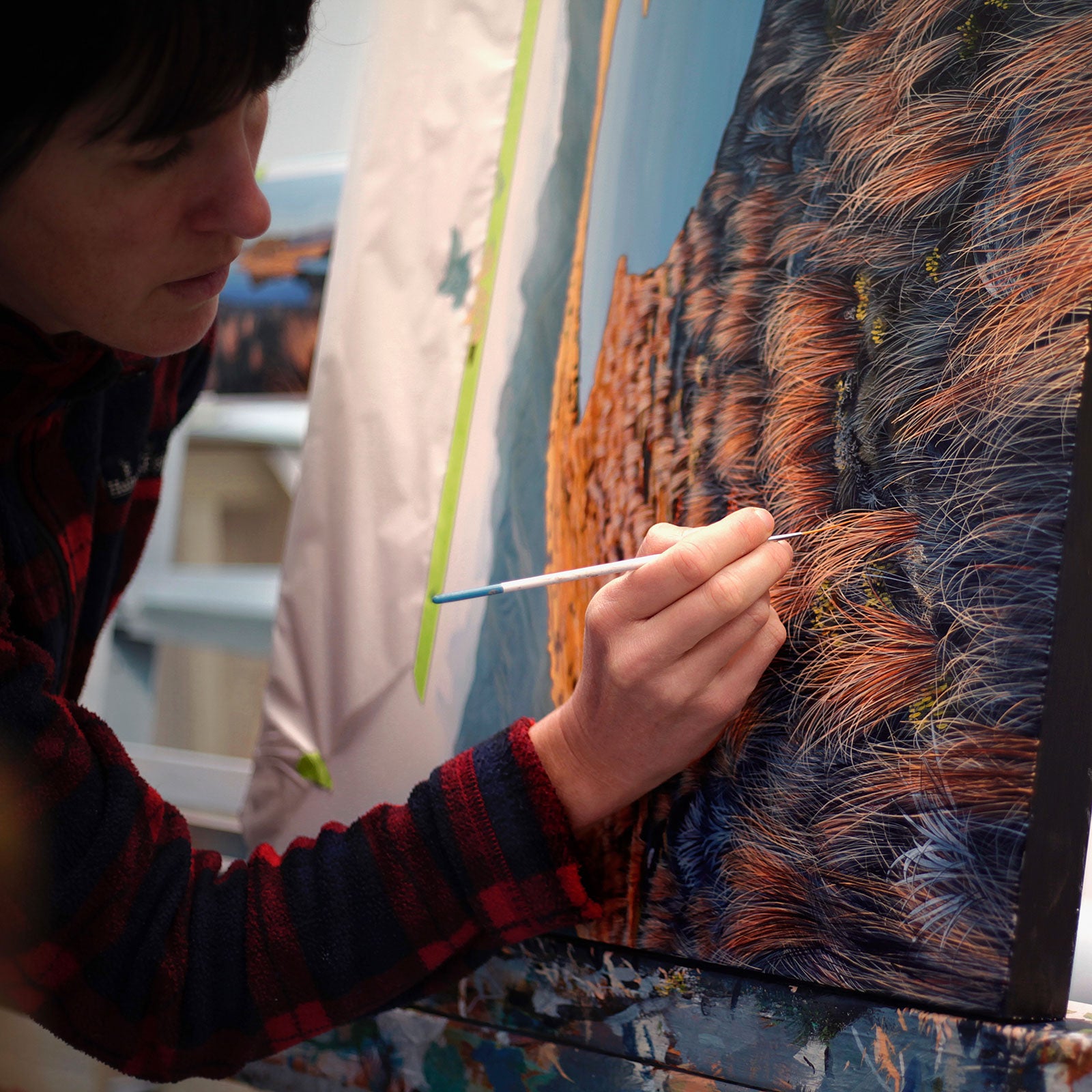 New Kahurangi National Park painting