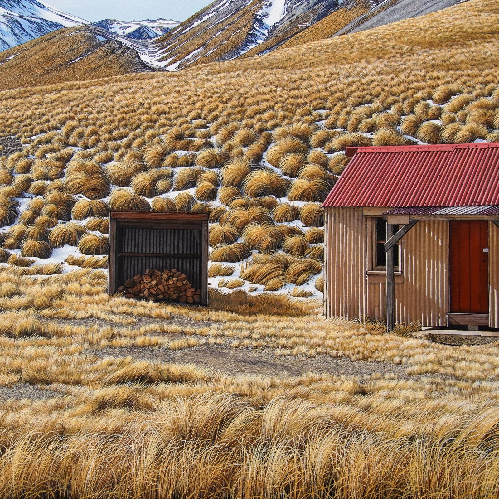Middle Gorge Hut progress