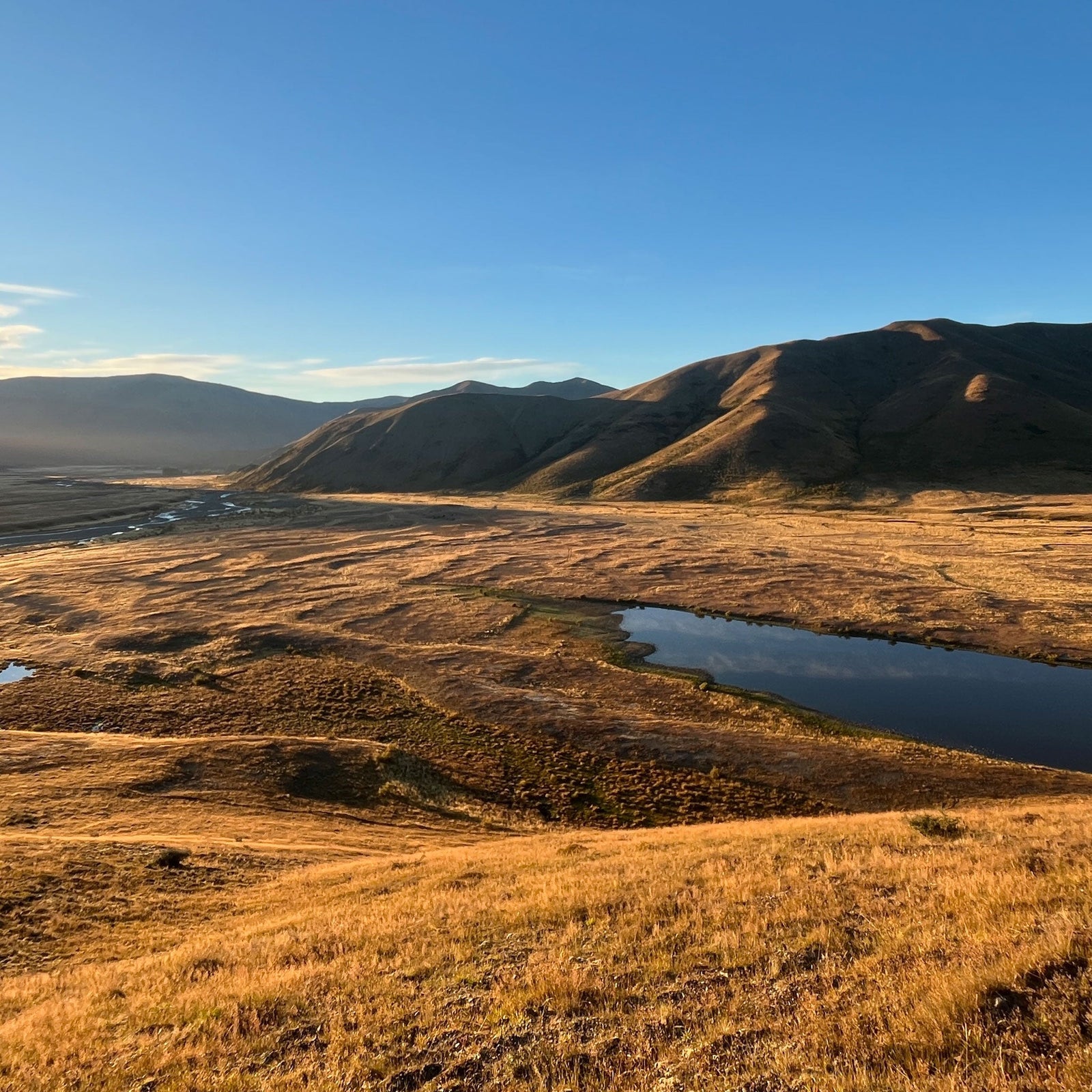Exploring the Molesworth