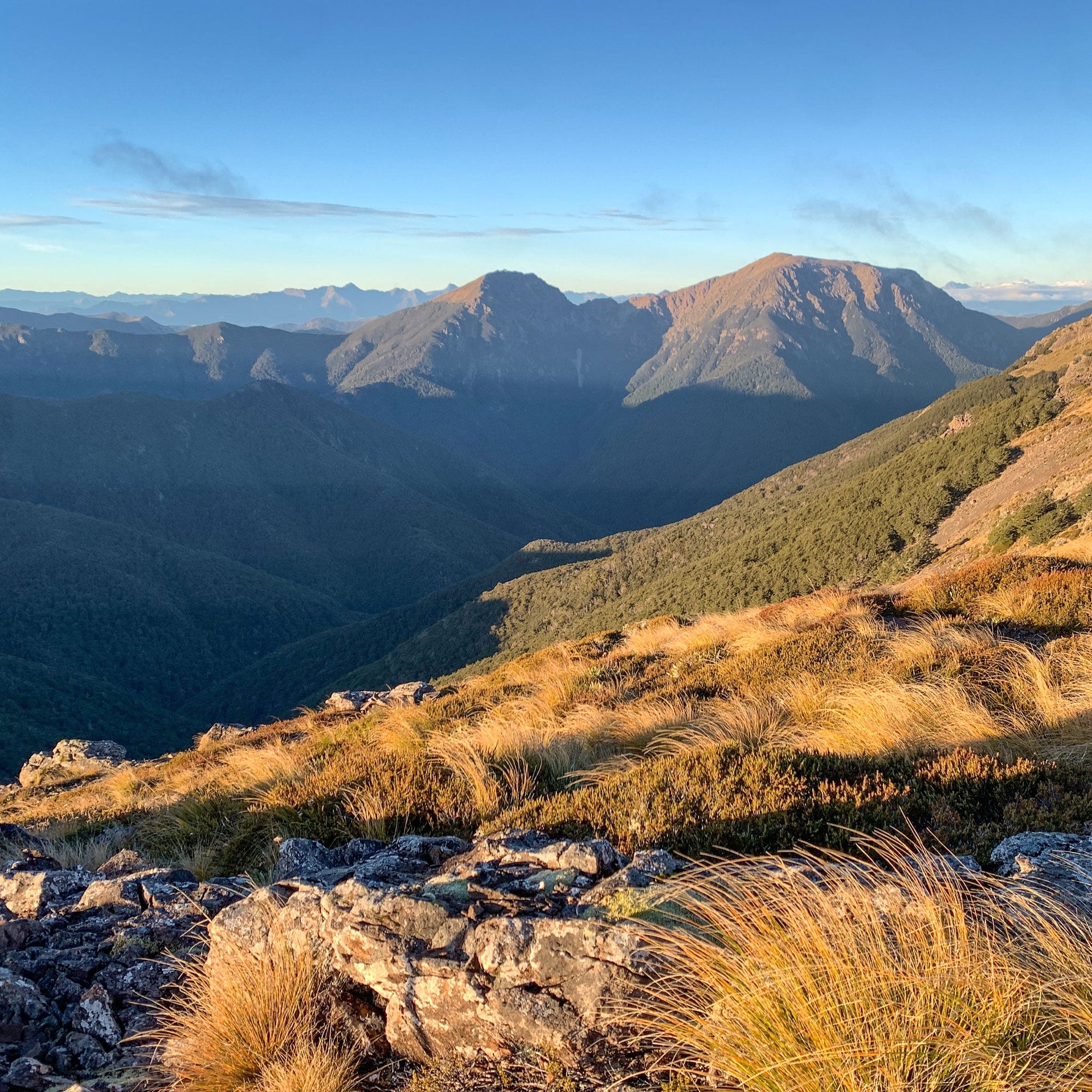 Exploring Mt Starveall