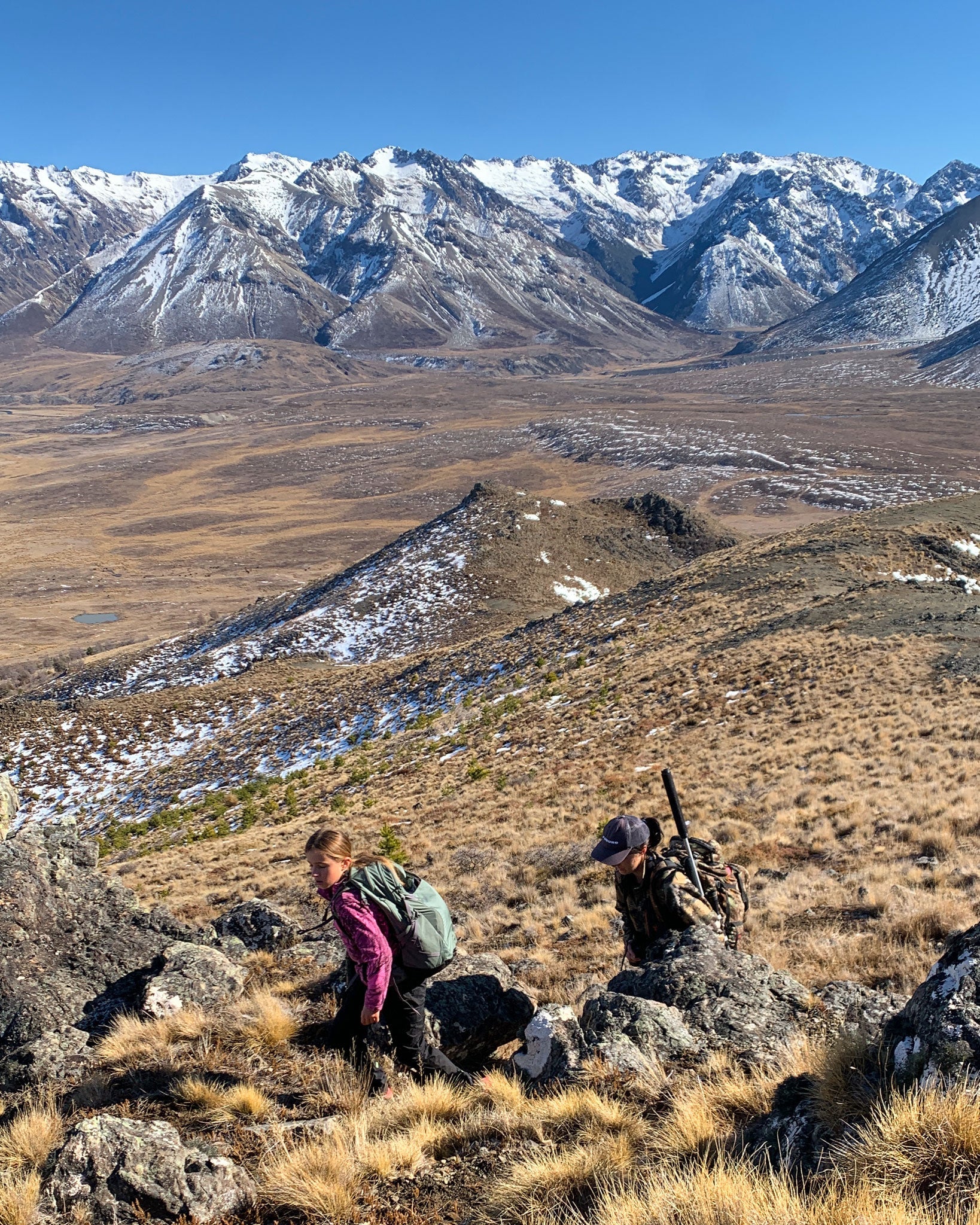 Winter in the Molesworth