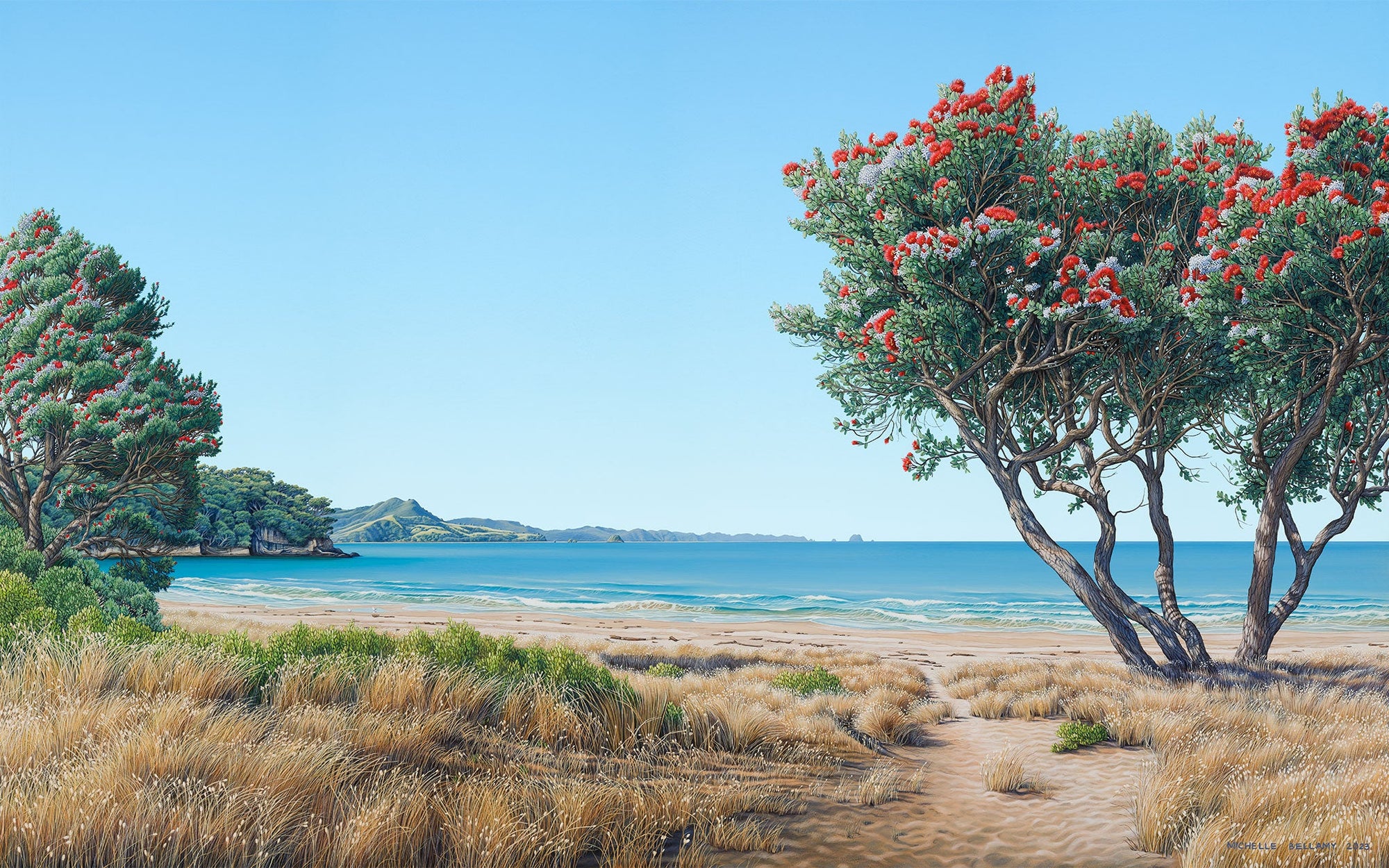 Summer Afternoon at Cooks Beach 150
