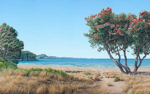 Summer Afternoon at Cooks Beach 150
