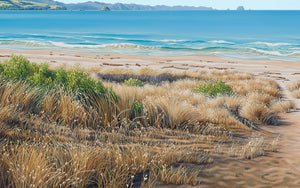 Summer Afternoon at Cooks Beach