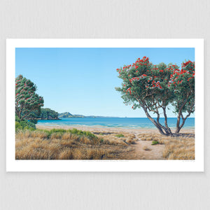 Summer Afternoon at Cooks Beach 150