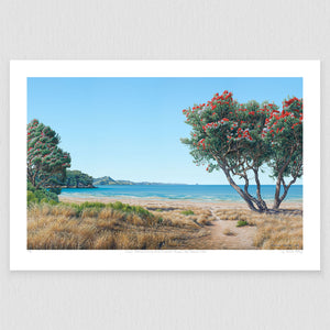 Summer Afternoon at Cooks Beach 150