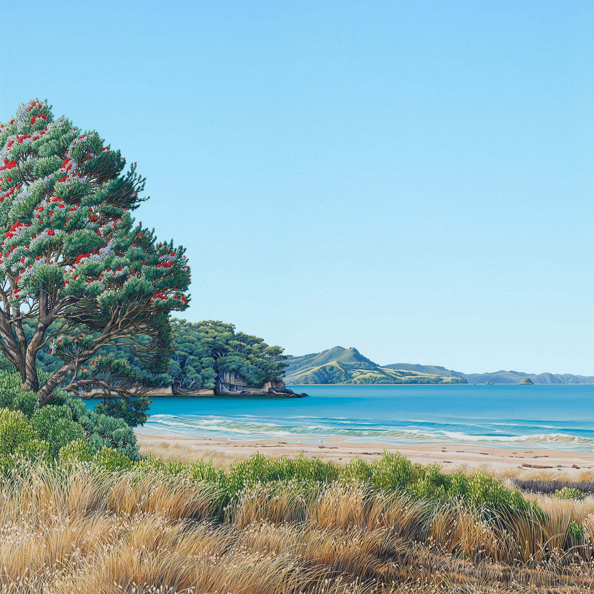 Summer Afternoon at Cooks Beach 150