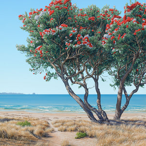 Summer Afternoon at Cooks Beach 150