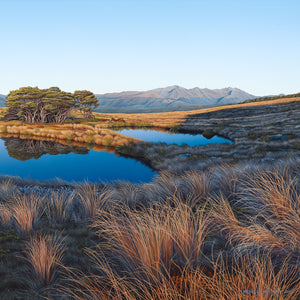 Two Tarns near Lake Sylvester 150