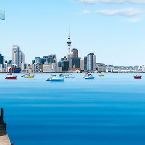 Stanley Point Sailboats 150