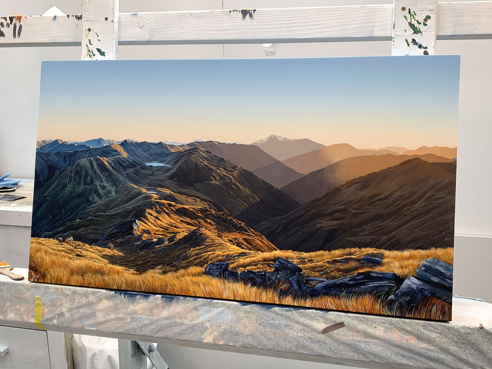 Lake Morgan from Mt O'Shanessy, West Coast [Untitled] - Contribution