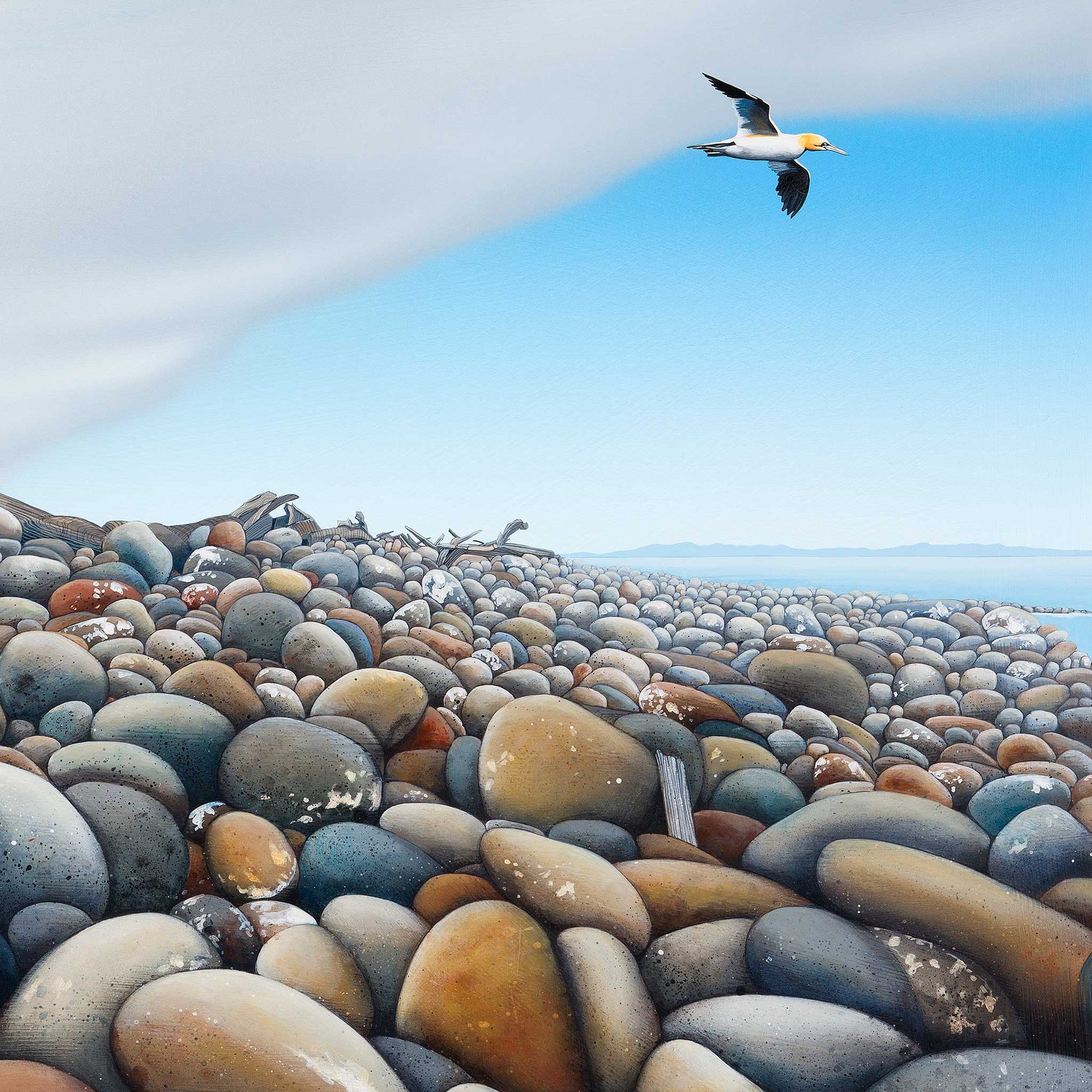 Little Barrier Boulders 150