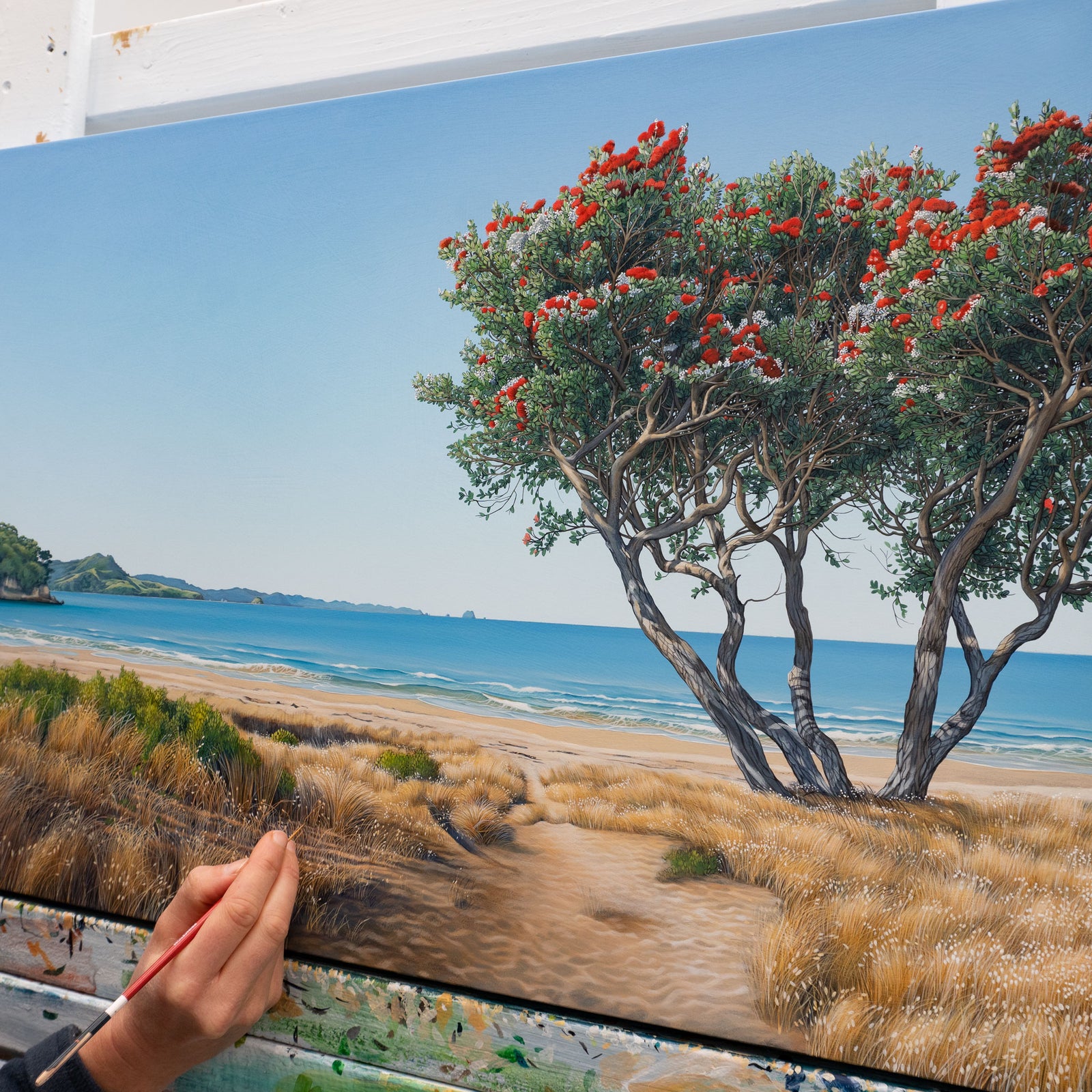 Summer Afternoon at Cooks Beach