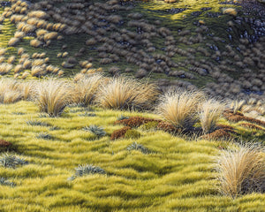 St Arnaud Range Tarn Above Parachute Rocks 150
