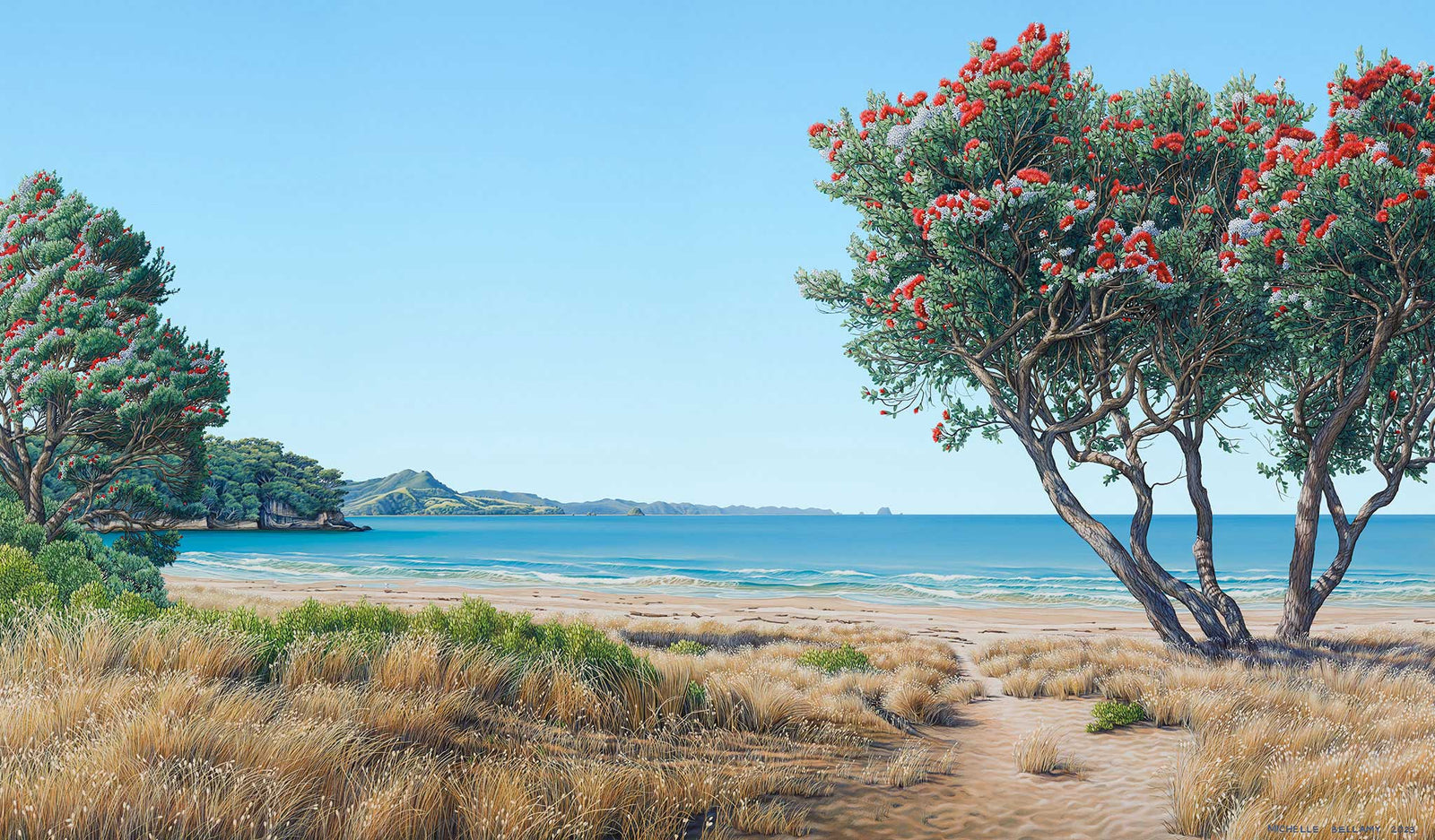 Summer Afternoon at Cooks Beach