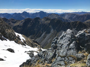 Lake Morgan from Mt O'Shanessy, West Coast [Untitled] - Deposit +3%