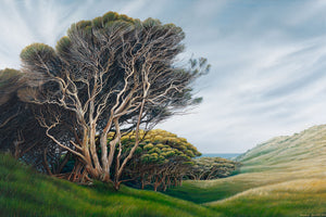 Wharariki Tree