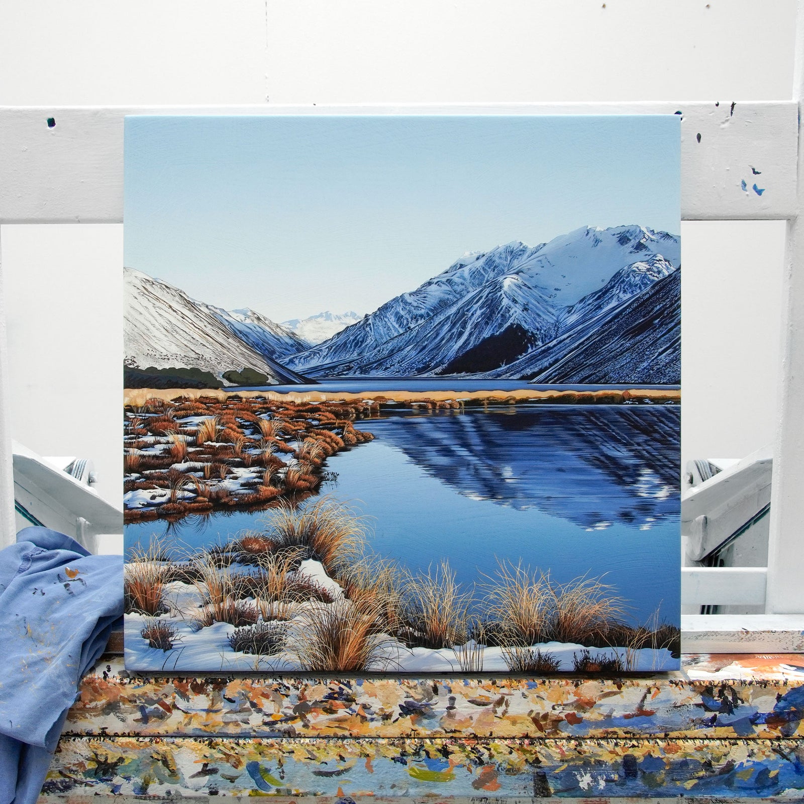 Winter Tarns at Lake Tennyson, St James Conservation Area [Untitled]