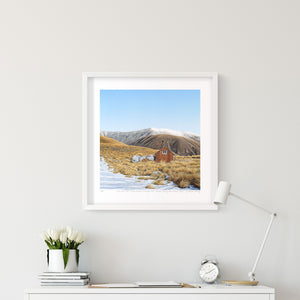 Camp Stream Hut 150