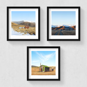 Set of 3 - Petite Prints - NZ South
