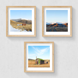 Set of 3 - Petite Prints - NZ South