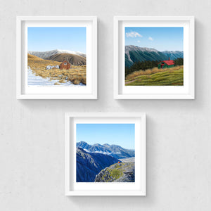 Set of 3 - Petite Prints - Backcountry
