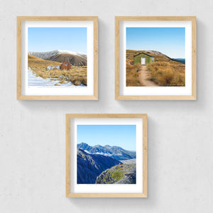 Set of 3 - Petite Prints - Backcountry