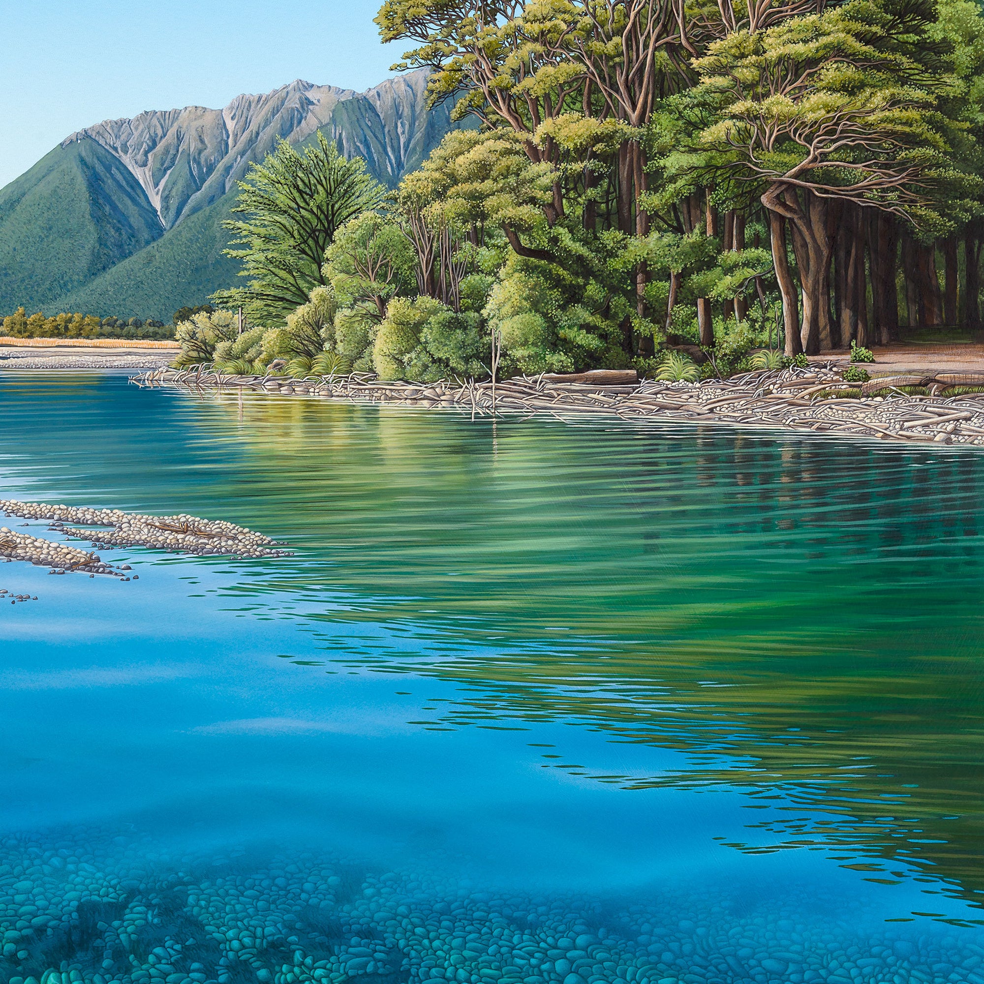 Travers River, Head of Lake Rotoiti 150