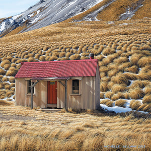 Middle Gorge Hut 150