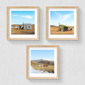 Set of 3 - Petite Prints - NZ South