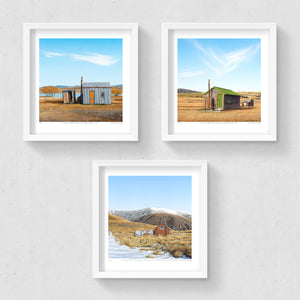 Set of 3 - Petite Prints - NZ South