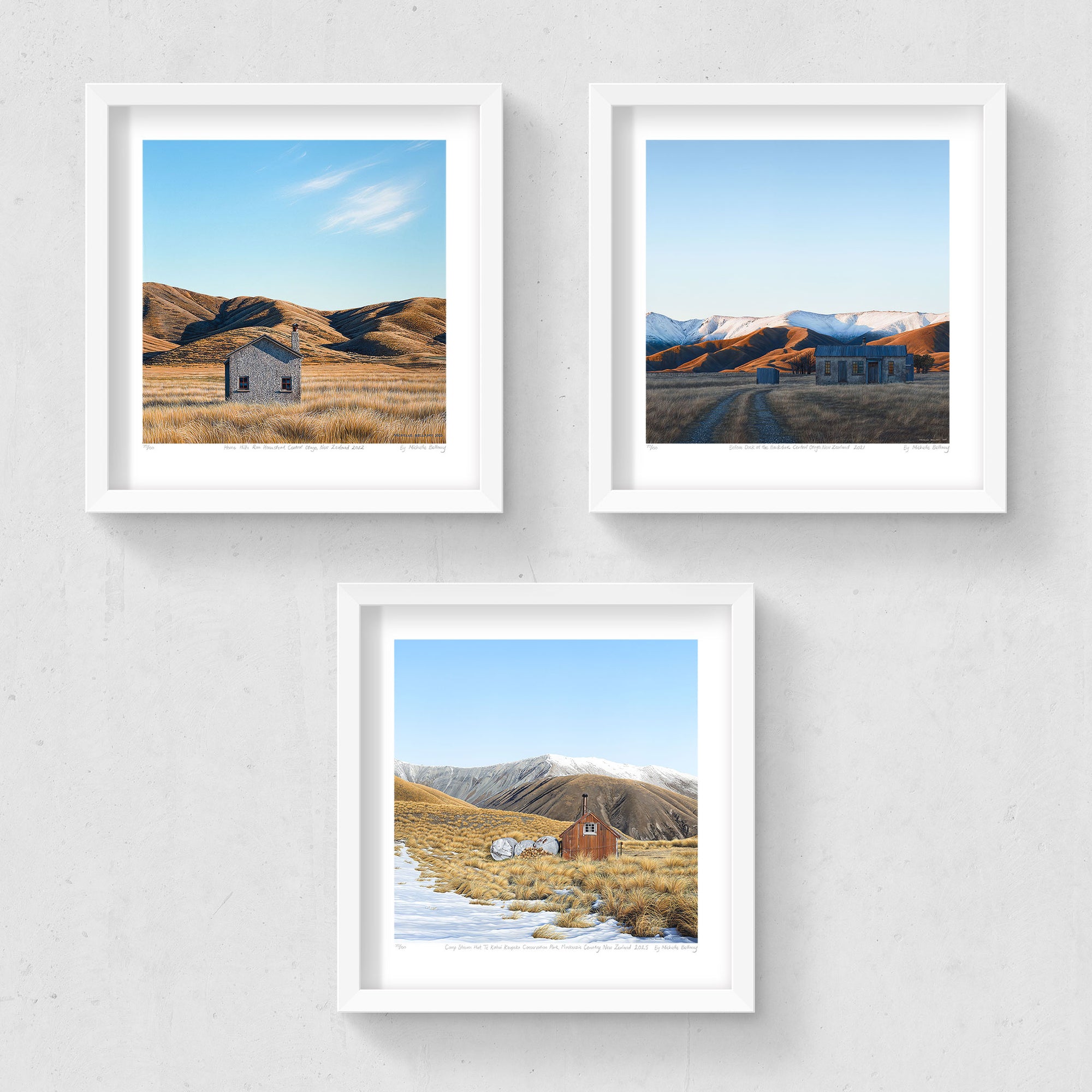 Set of 3 - Petite Prints - NZ South
