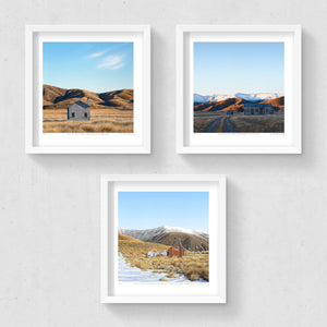 Set of 3 - Petite Prints - NZ South