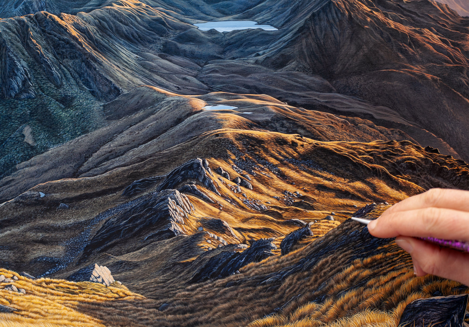 Lake Morgan from Mt O'Shanessy, West Coast [Untitled] - Final payment +3% October 2024