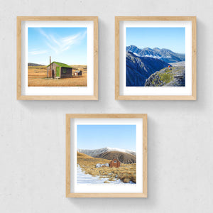 Set of 3 - Petite Prints - NZ South