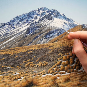 Middle Gorge Hut 150