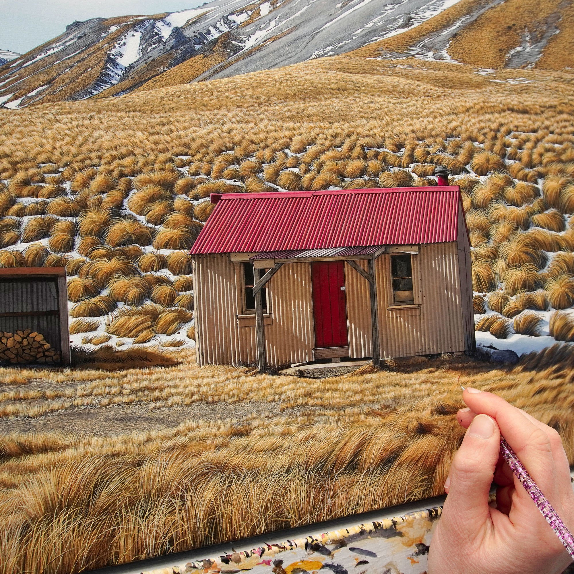 Middle Gorge Hut [Untitled]