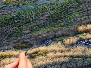 Mole Tops Tarns, Ella Range