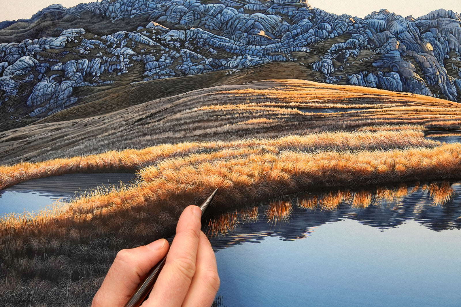Mt Owen Tarns, Kahurangi National Park [Untitled]