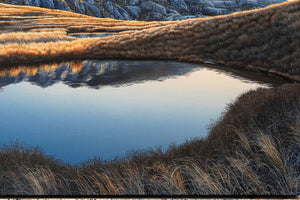 Mt Owen Tarns, Kahurangi National Park [Untitled]