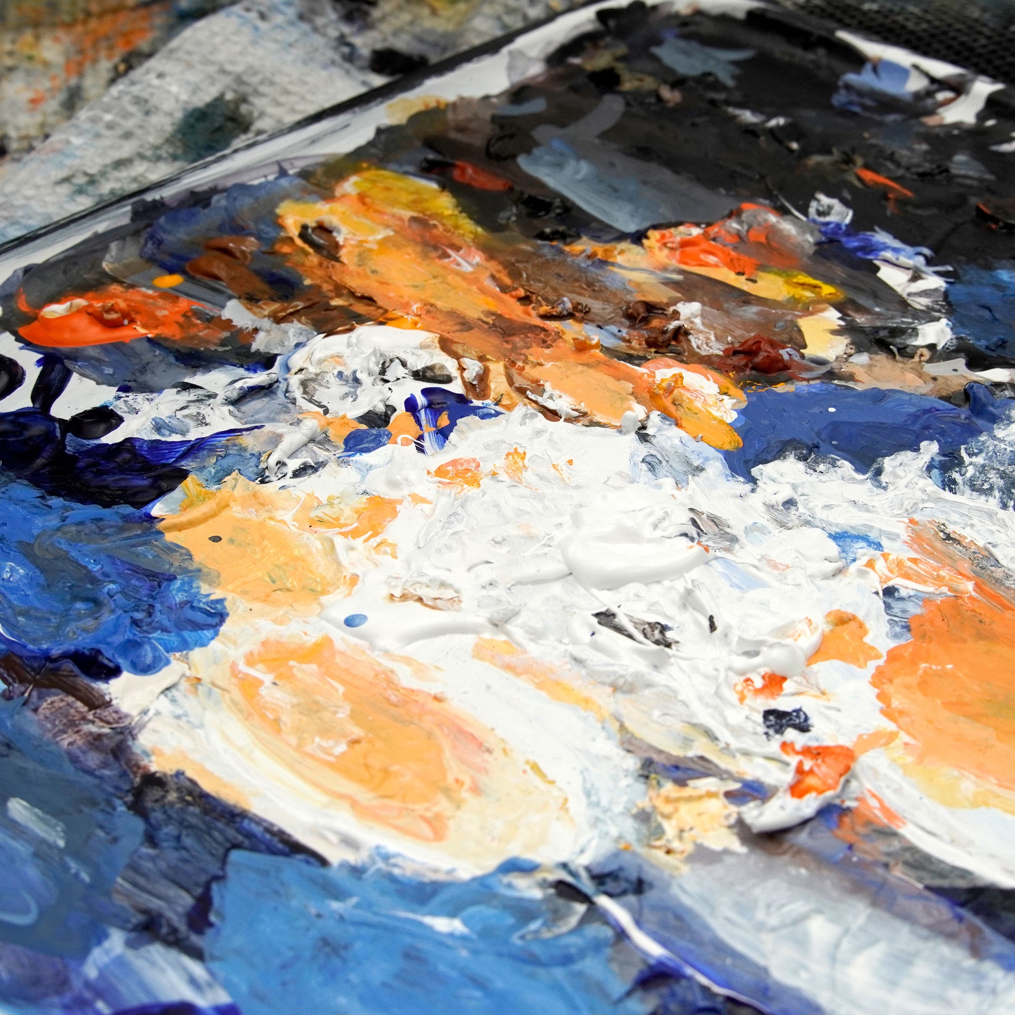 Mt Owen Tarns, Kahurangi National Park [Untitled]