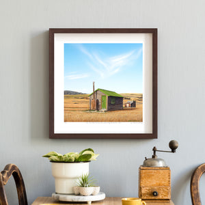 Little Green Roof Hut 150