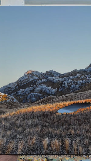 Mt Owen Tarns, Kahurangi National Park [Untitled]