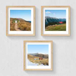 Set of 3 - Petite Prints - Backcountry